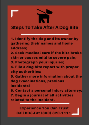 Dog Bite Steps